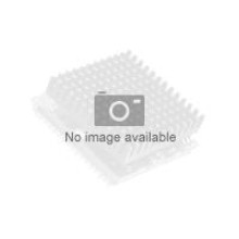 AMD Ryz7 7800X3D 5GHz AM5 8/16 120W TRAY